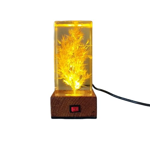 Ahşap ve Epoksi Gece Lambası